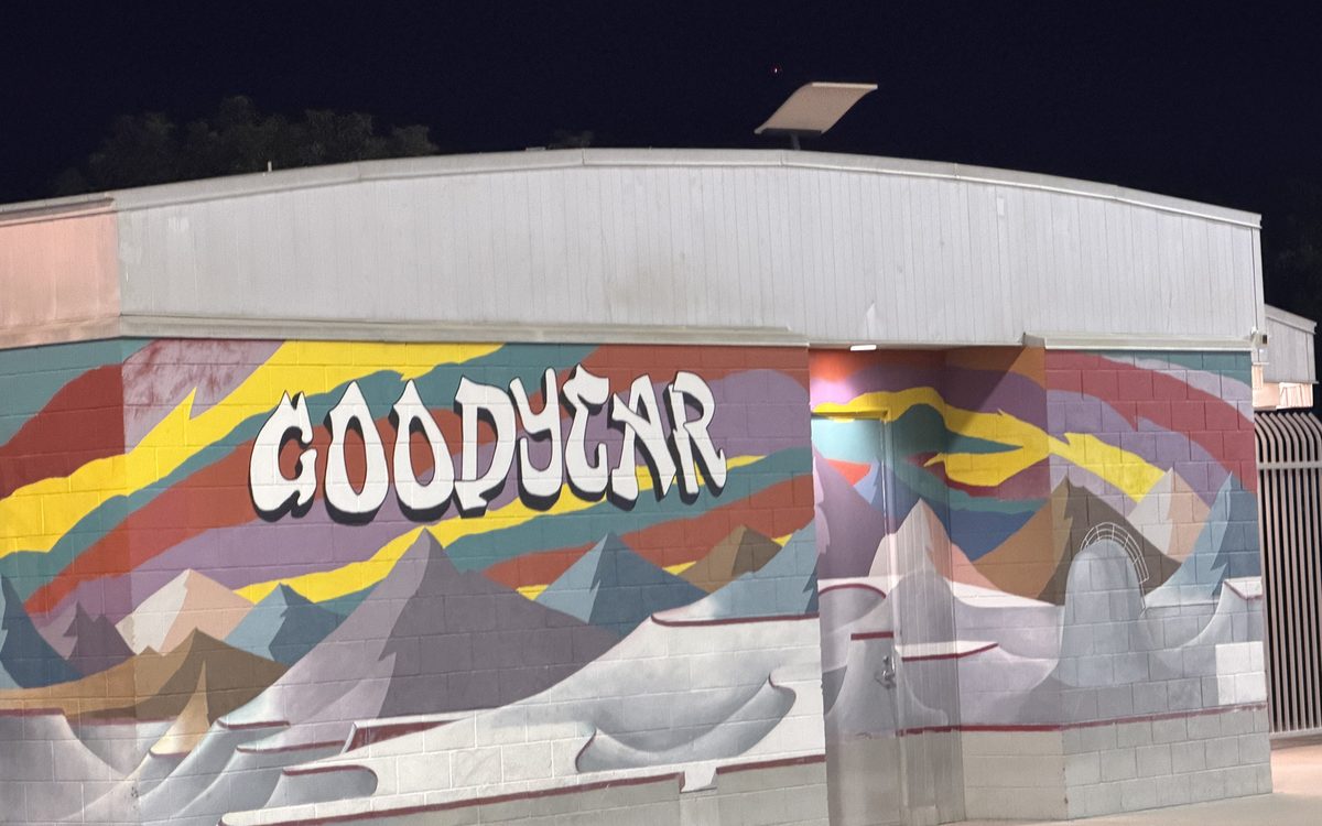 Goodyear Community Park lighting installation